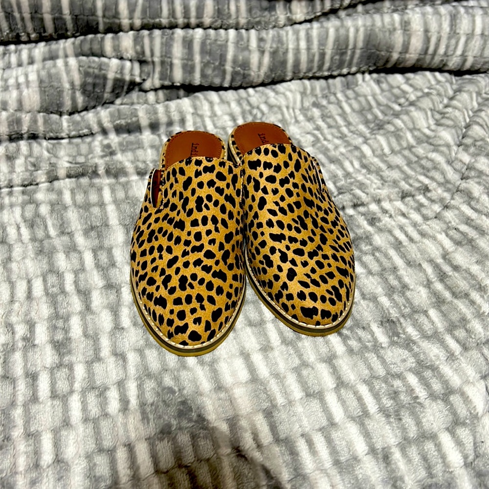Indigo shoes
